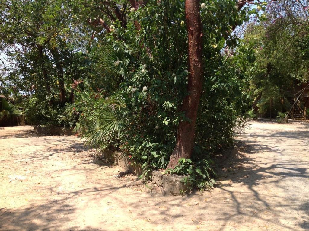 Half Moon Resort (Adults Only) West End Exteriör bild